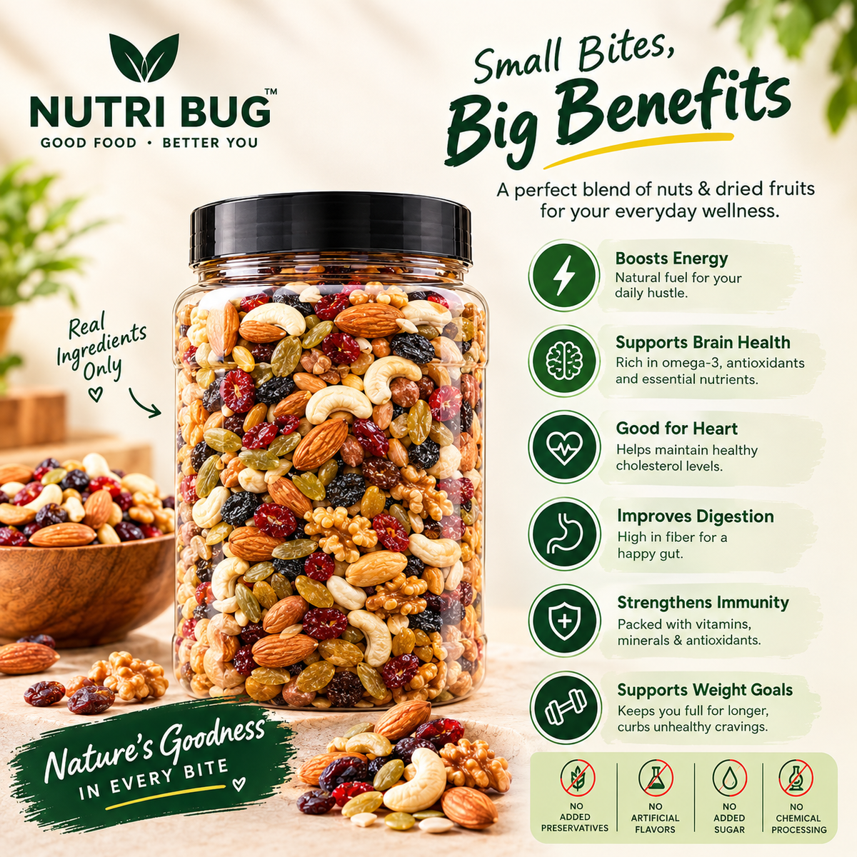 Premium Dry Fruit & Nut Mix β 500g | Almonds, Cashews, Walnuts, Raisins & Dried Fruits